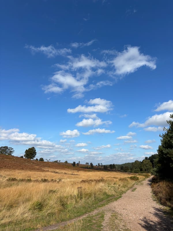 Life Update - September 2024
